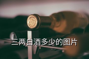 三两白酒多少的图片