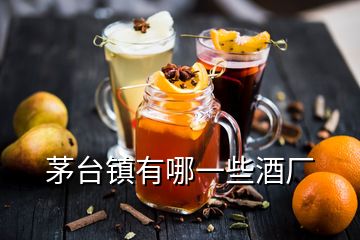 茅台镇有哪一些酒厂