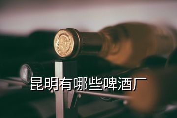 昆明有哪些啤酒厂