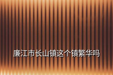 廉江市长山镇这个镇繁华吗