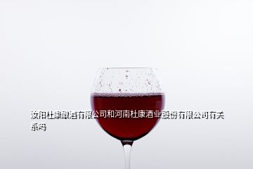 汝阳杜康酿酒有限公司和河南杜康酒业股份有限公司有关系吗