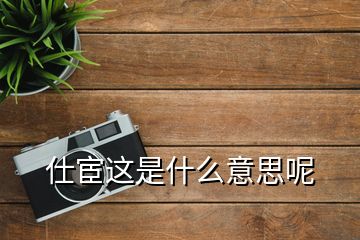 仕宦这是什么意思呢