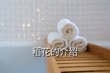 稻花的介绍