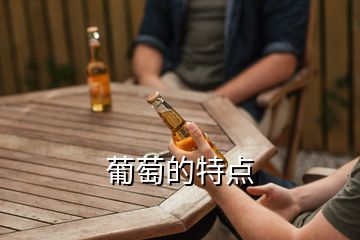 葡萄的特点