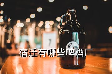 宿迁有哪些啤酒厂