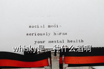 whisky是一种什么酒啊