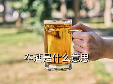 夲酒是什么意思