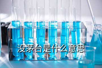 没茅台是什么意思