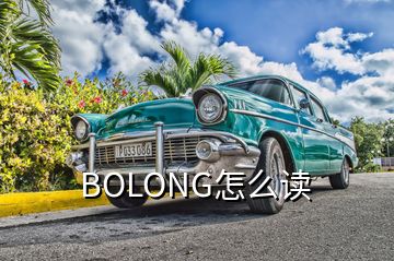 BOLONG怎么读