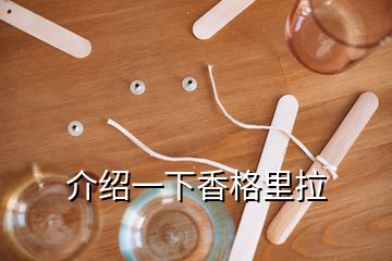 介绍一下香格里拉