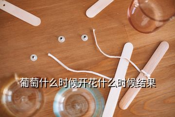 葡萄什么时候开花什么时候结果