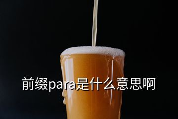 前缀para是什么意思啊