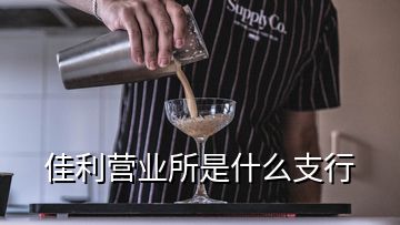 佳利营业所是什么支行