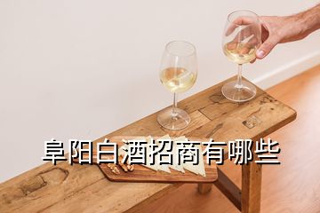 阜阳白酒招商有哪些