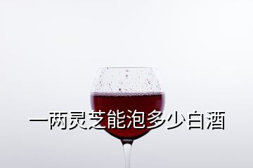 一两灵芝能泡多少白酒