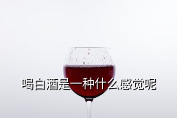 喝白酒是一种什么感觉呢