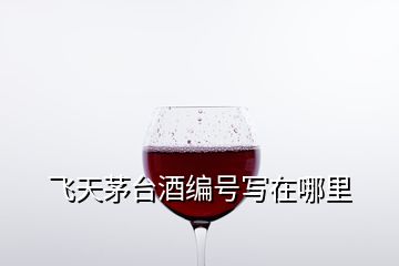 飞天茅台酒编号写在哪里