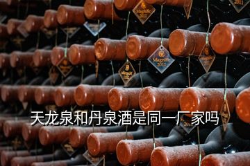 天龙泉和丹泉酒是同一厂家吗