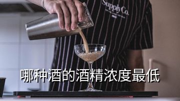 哪种酒的酒精浓度最低