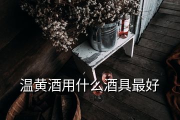 温黄酒用什么酒具最好