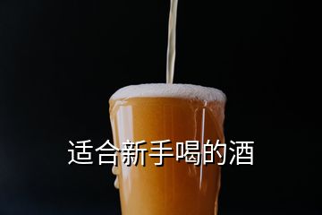 适合新手喝的酒