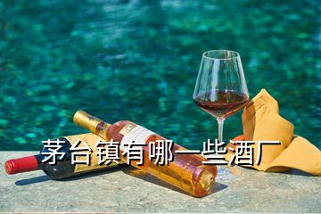 茅台镇有哪一些酒厂