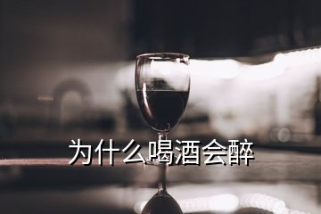 为什么喝酒会醉