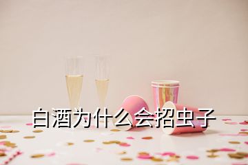 白酒为什么会招虫子