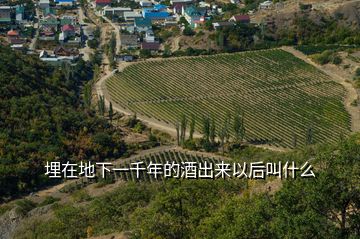 埋在地下一千年的酒出来以后叫什么