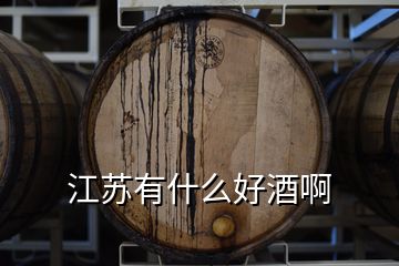 江苏有什么好酒啊