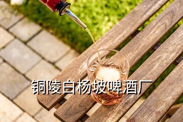 铜陵白杨坡啤酒厂