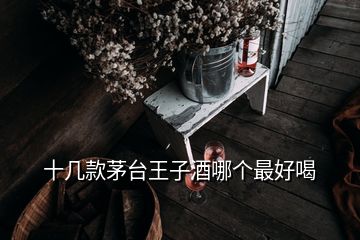 十几款茅台王子酒哪个最好喝