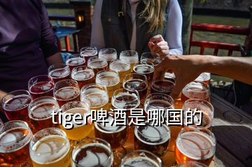 tiger啤酒是哪国的