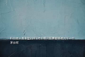 科创板从首发至22年3月止哪只股票能够成为下一个茅台呢