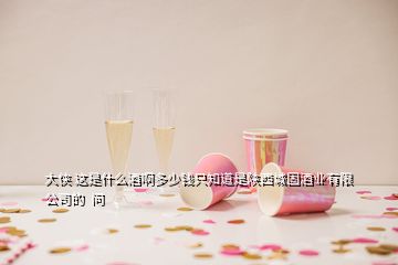 大侠 这是什么酒啊多少钱只知道是陕西城固酒业有限公司的  问