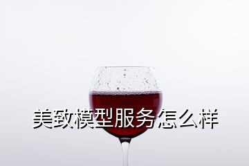 美致模型服务怎么样