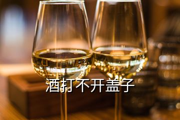 酒打不开盖子