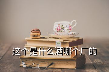 这个是什么酒哪个厂的