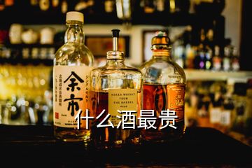 什么酒最贵