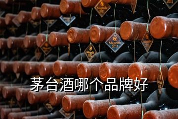 茅台酒哪个品牌好