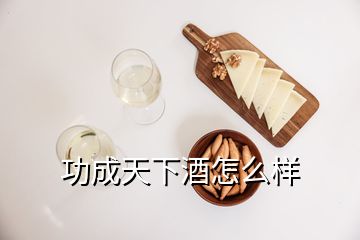 功成天下酒怎么样