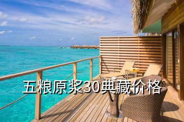 五粮原浆30典藏价格