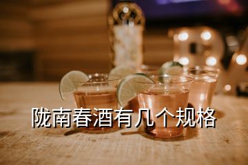 陇南春酒有几个规格