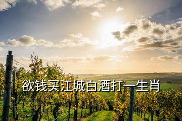欲钱买江城白酒打一生肖