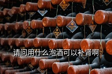 请问用什么泡酒可以补肾啊