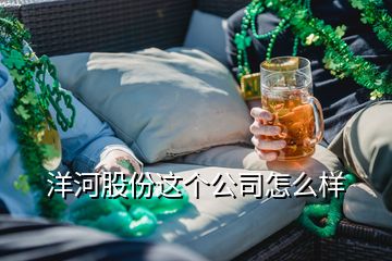 洋河股份这个公司怎么样