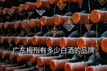 广东梅州有多少白酒的品牌