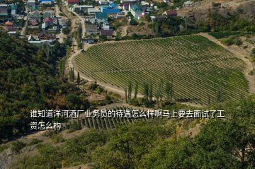 谁知道洋河酒厂业务员的待遇怎么样啊马上要去面试了工资怎么构