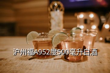 沪州福A952度500毫升白酒