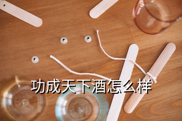 功成天下酒怎么样